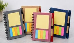Frosted Cover Notepad with Sticky Notes, Coloured Tabs & Pen